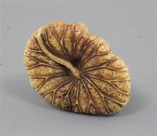 A Japanese ivory netsuke of two wrestlers, Meiji period, w. 4.2cm